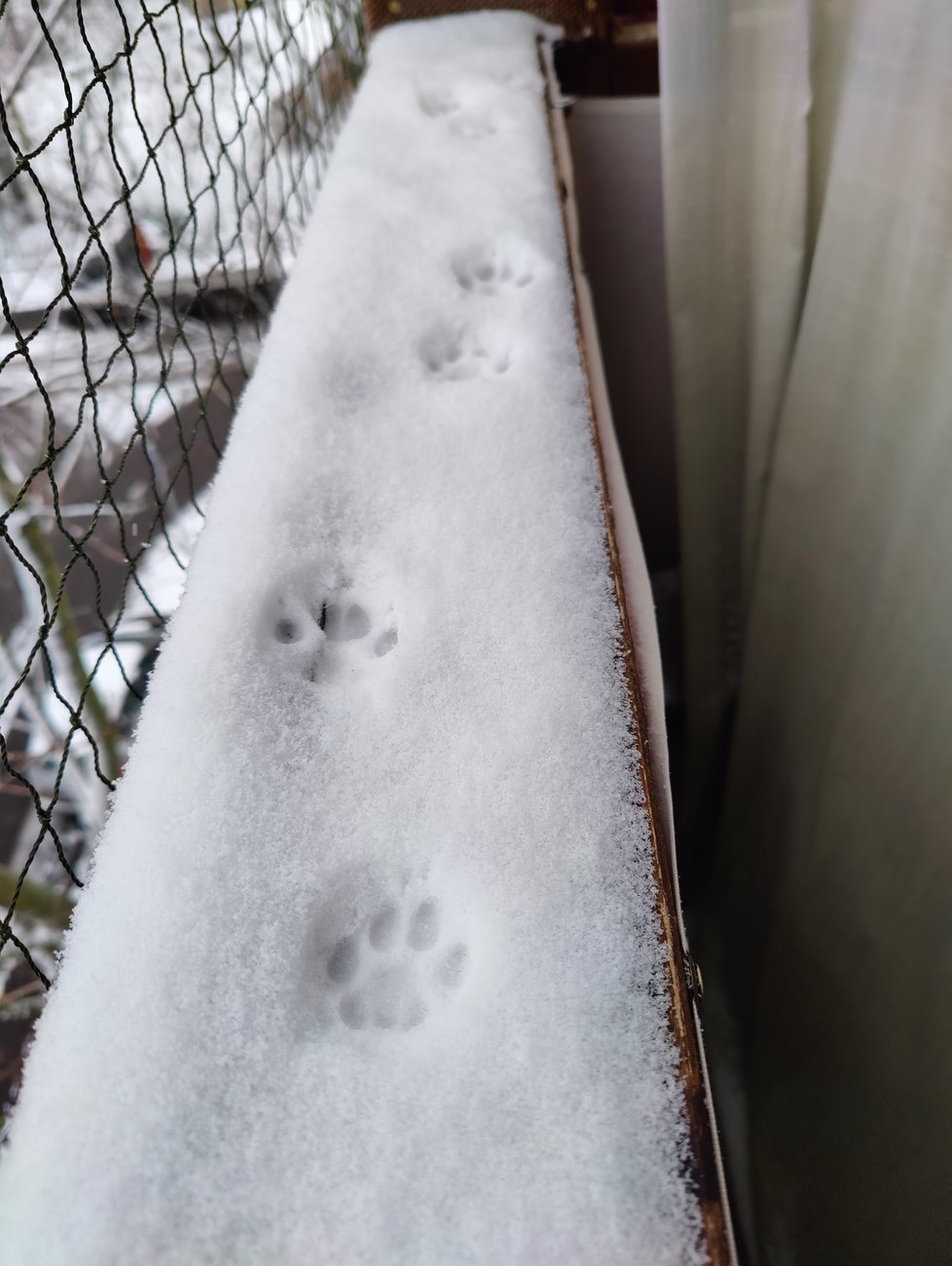 Katzen-Pfotenabdrücke im Schnee auf der Balkonbrüstung hinter dem Netz.