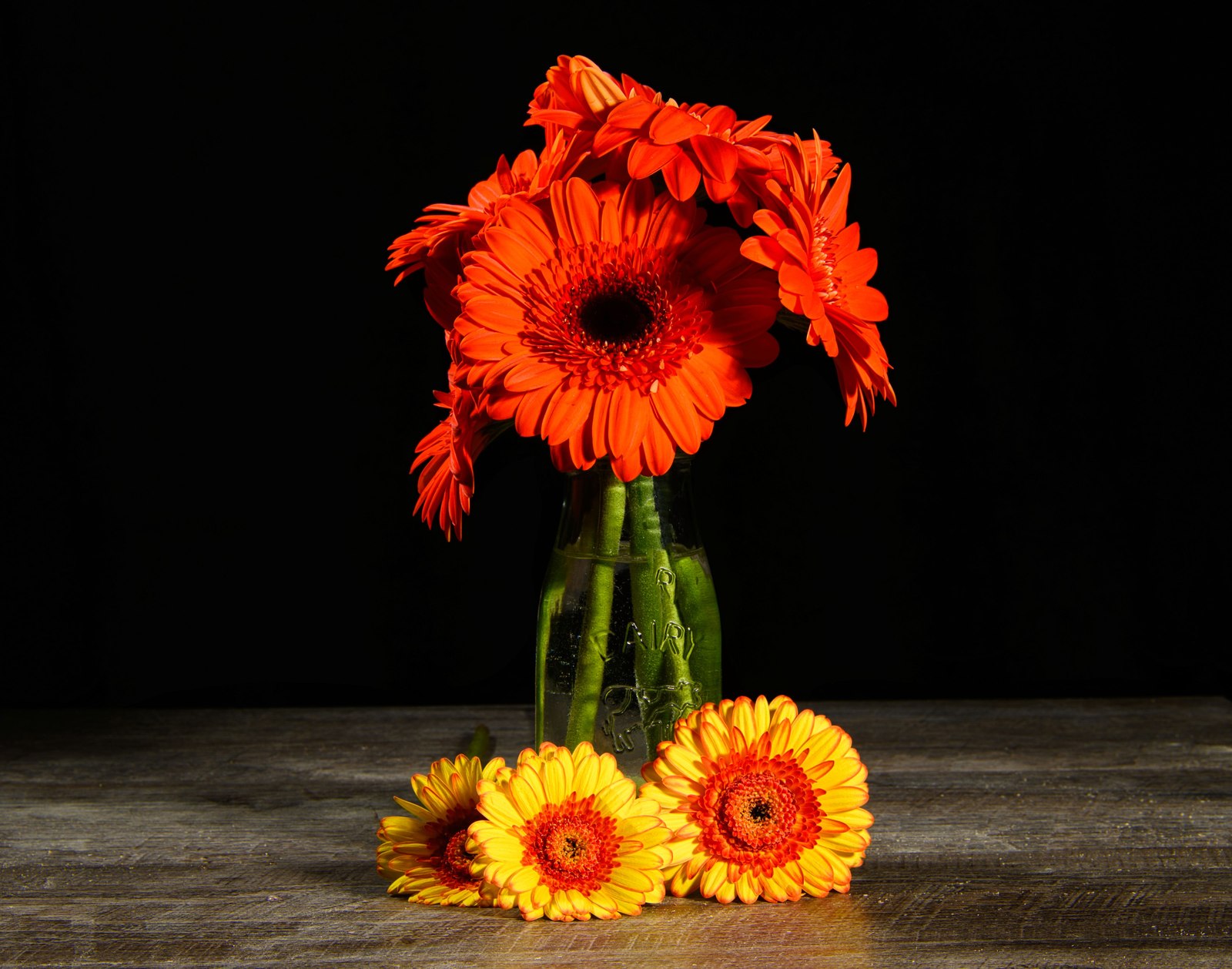 Mehrere bunte Gerbera-Blüten in verschiedenen Farben in einer weißen Keramikvase.